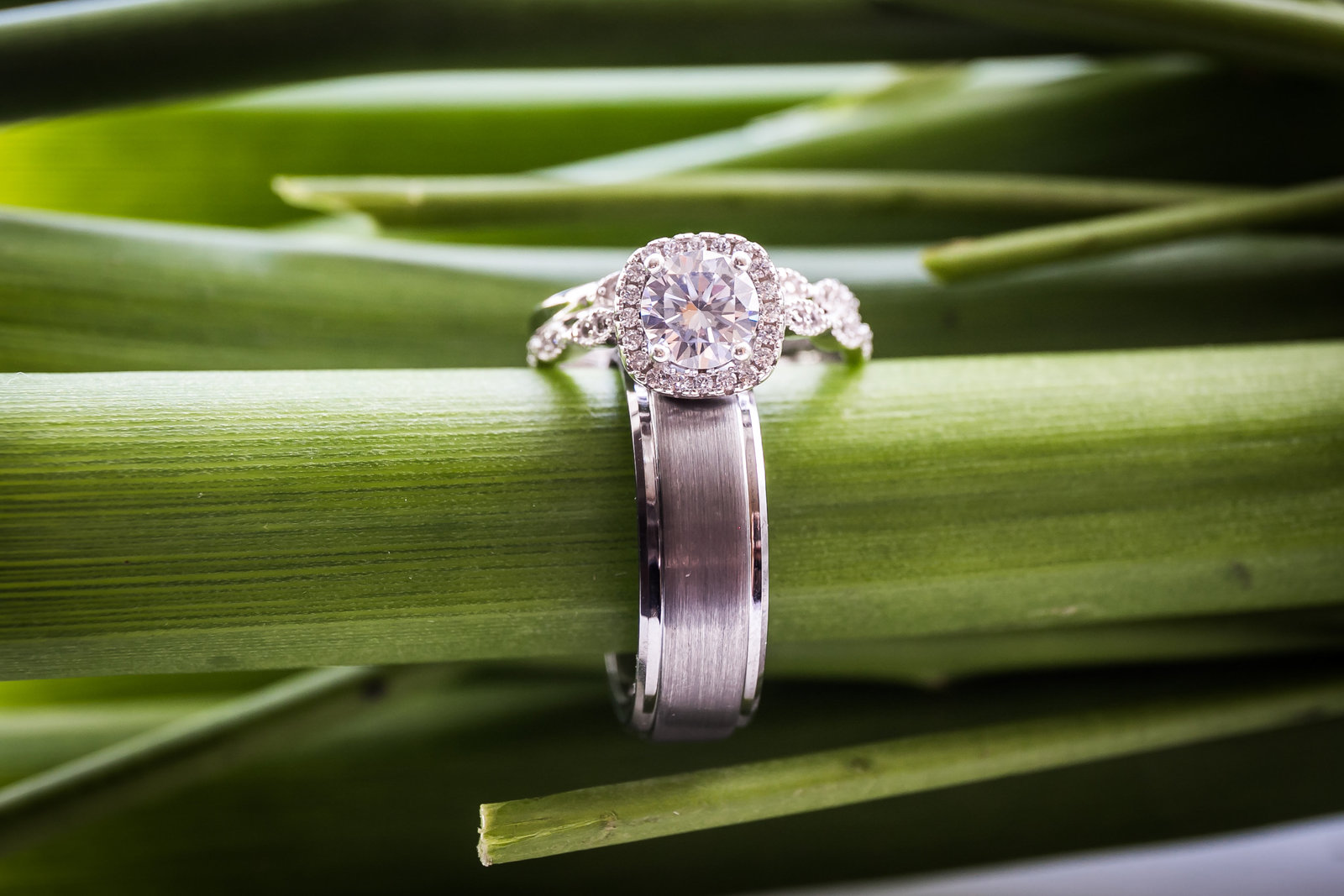 Ring Detail